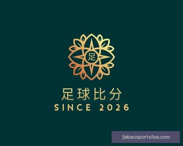 了解足球比分